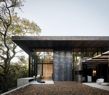 Concrete modern villa in wooded area.