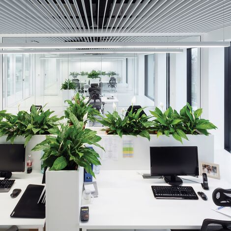 ConceptSystem 59Pa Hliníková okna a CW 50-HI Hliníkové fasády - Pivexin Technology Headquarter se nachází v Babice, Polsko